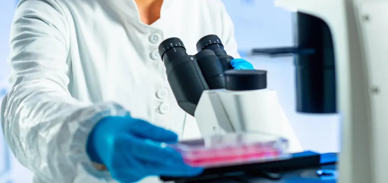 Stanowisko laboratoryjne do hodowli mieszków włosowych z użyciem komórek macierzystych.