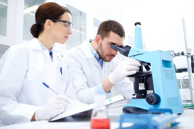 Technologie komórek macierzystych: przyszłość medycyny regeneracyjnej